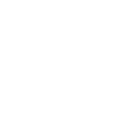 products-ico